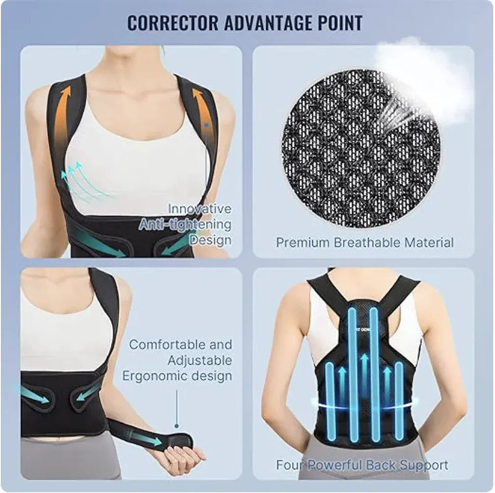 ErgoFlex Back Alignment Belt