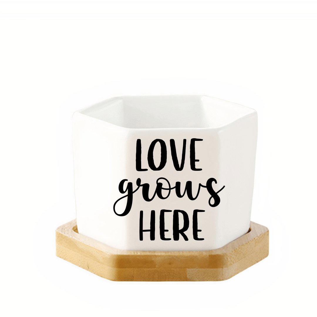 Succulent Trio with Messages - 4" Planters