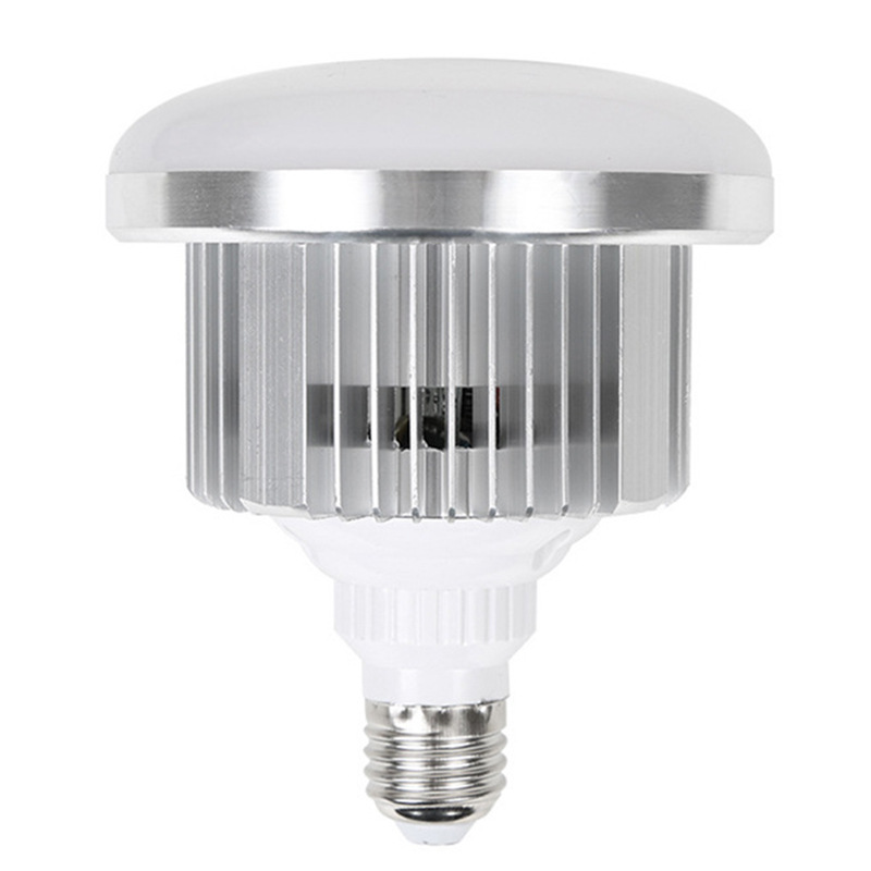 LED Fill Light ChicCharm