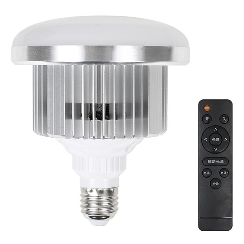 LED Fill Light ChicCharm