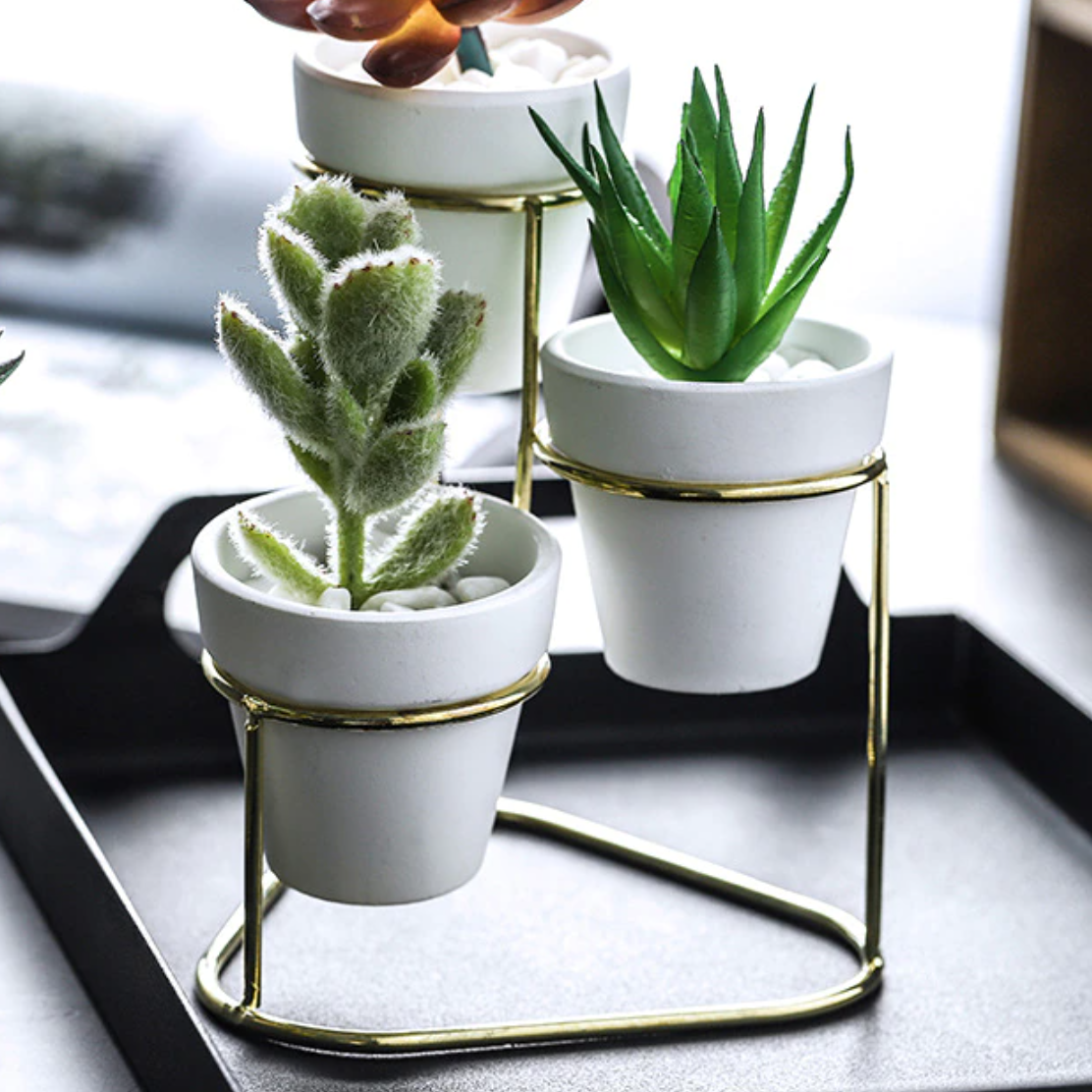 Trio Gold Accent Planters