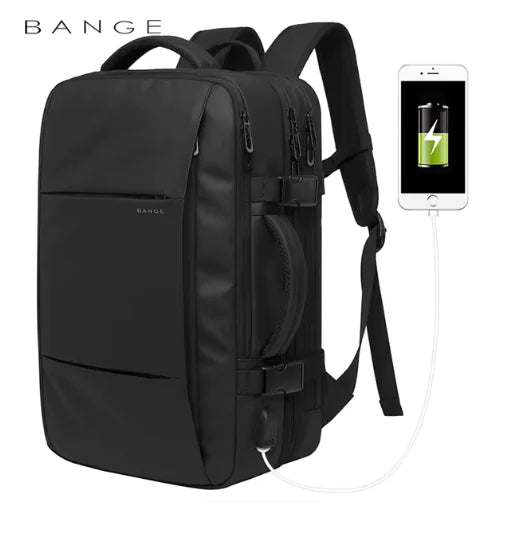 Professional Traveler&