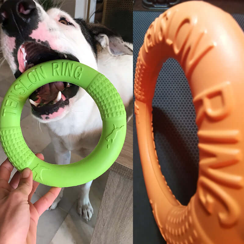 EVA Canine Play Ring