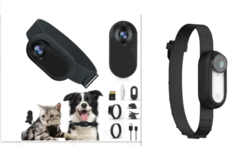 Pet Peek Wireless Collar