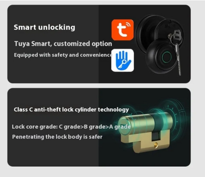 TouchAccess Smart Fingerprint Door Lock ChicCharm
