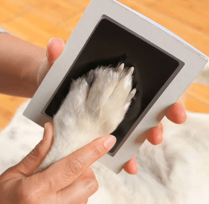Cherished Memories Photo Album