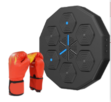 SmartBox Home Fitness Trainer