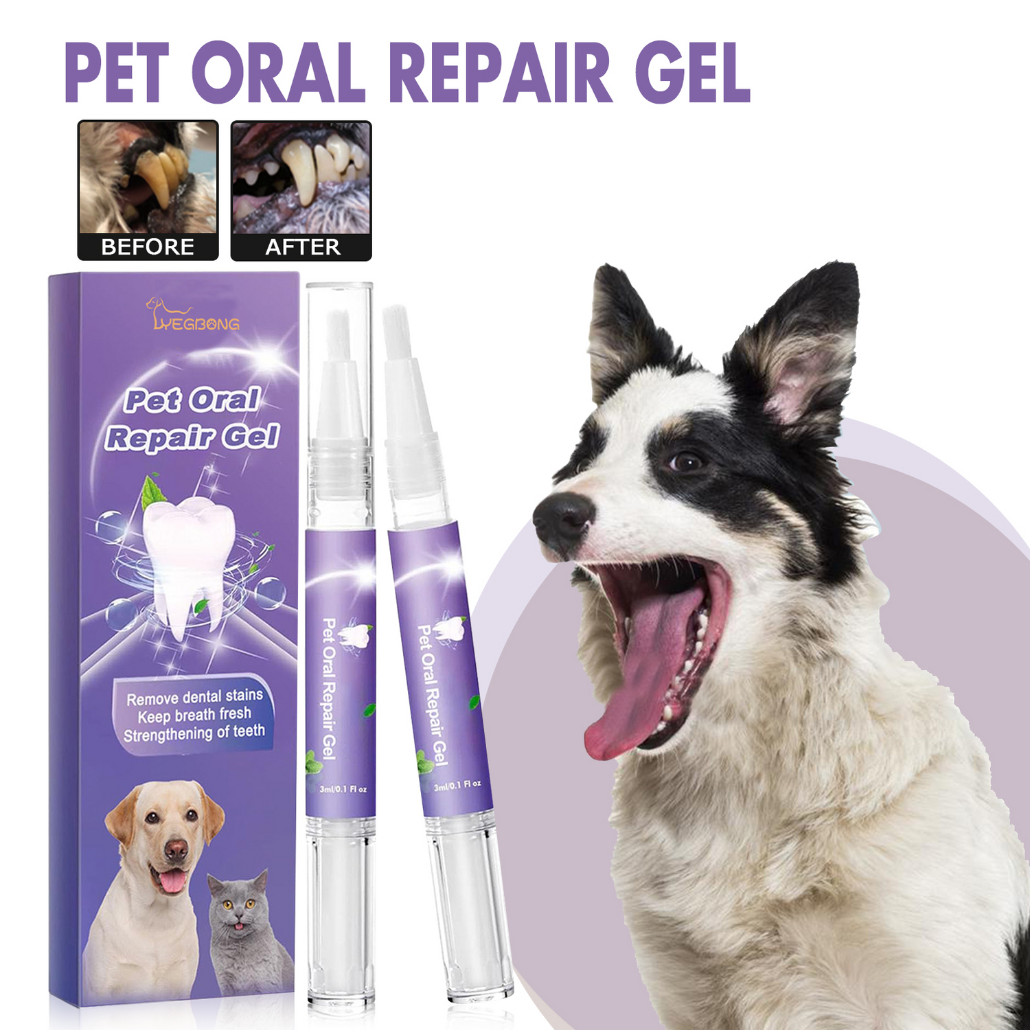 Pet Dental Repair Gel