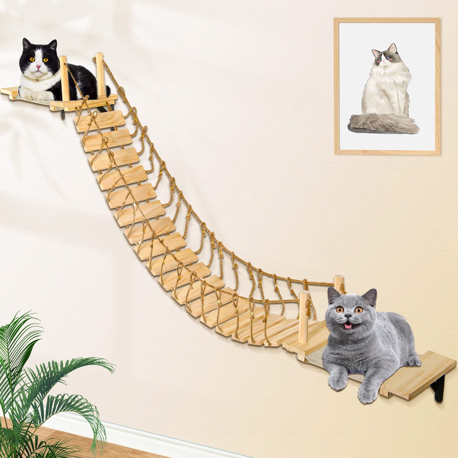 Calmbee 70" Cat Bridge Wall Perch ChicCharm
