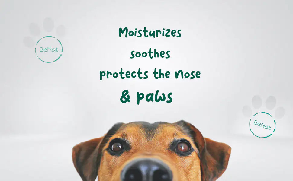 PawPal Natural Pet Balm 0.9 oz