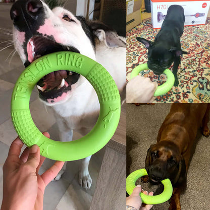 EVA Canine Play Ring