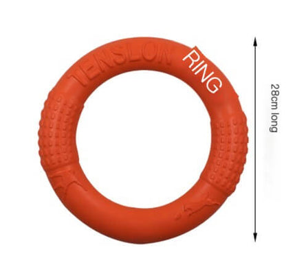 EVA Canine Play Ring