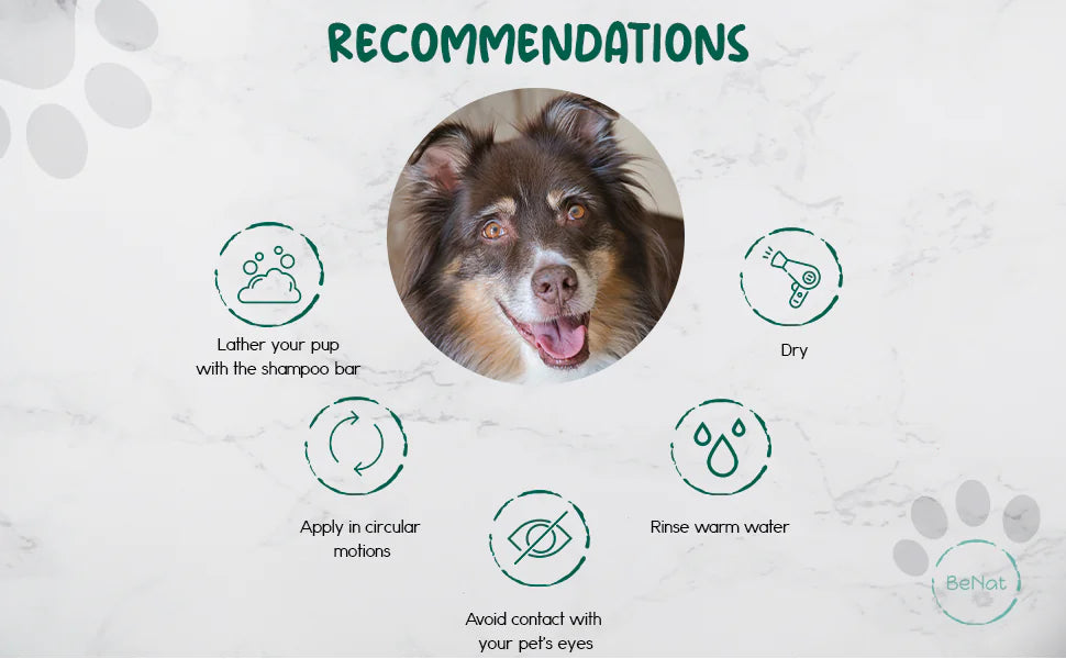 EcoPet Naturals Oat Bath Bar 5.8 oz