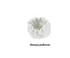 Versatile Power Scrubber ChicCharm