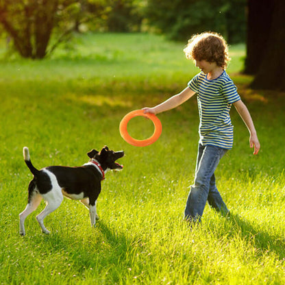 EVA Canine Play Ring