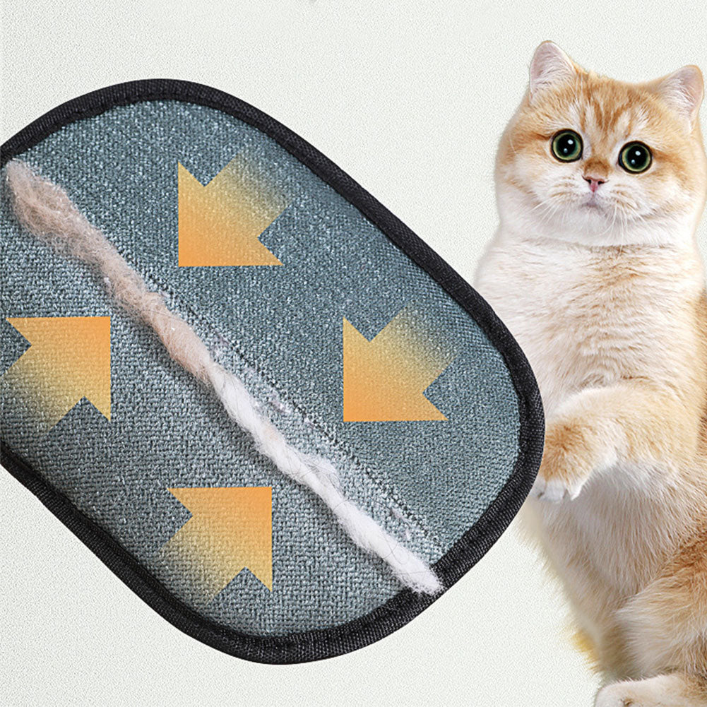 Pet Grooming Mitt