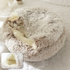 Cozy Shell Pet Haven ChicCharm