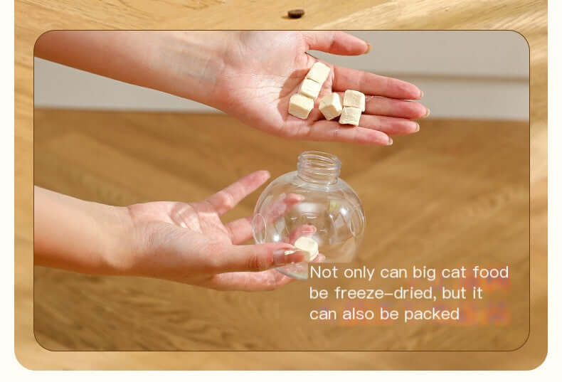 Feline Fun Feeder Ball
