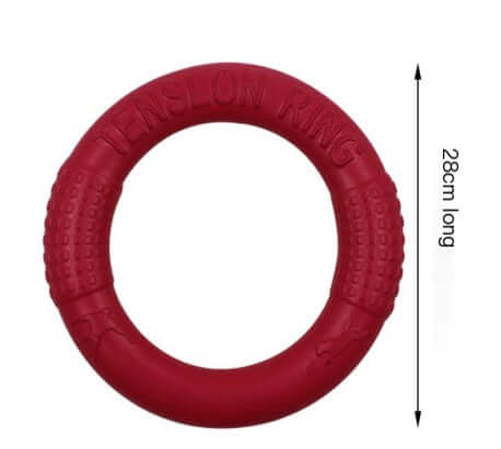 EVA Canine Play Ring