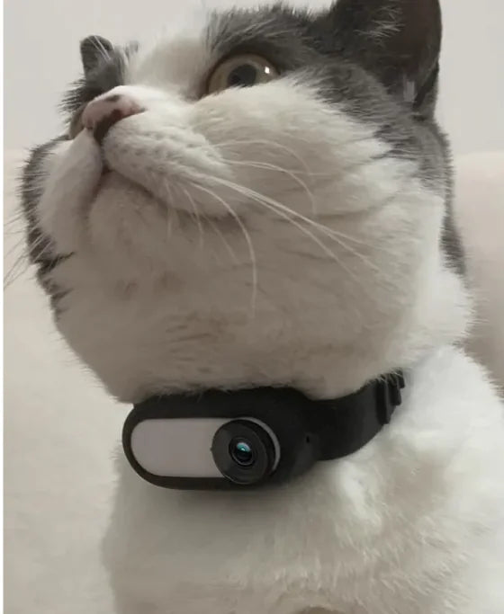 Pet Peek Wireless Collar