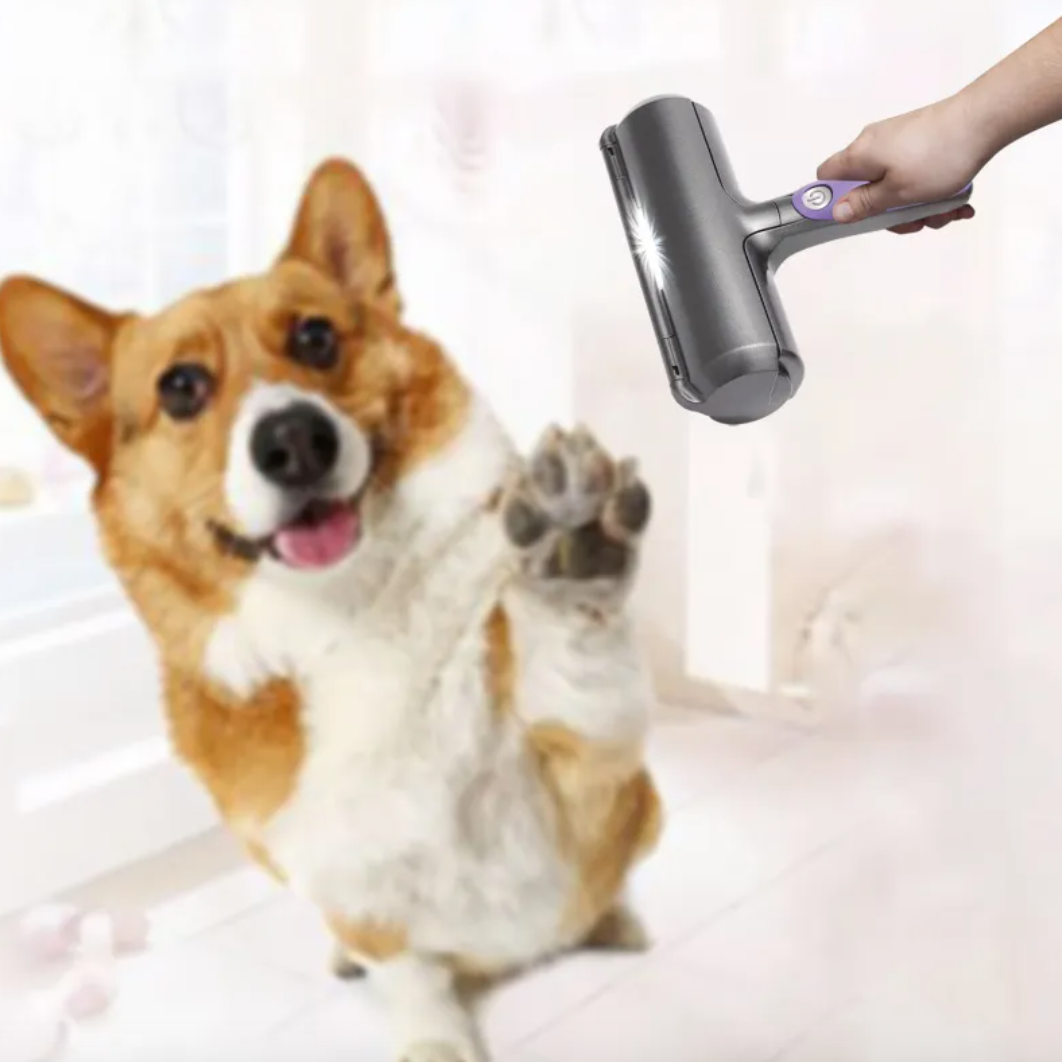 Eco-Friendly Fur Cleaning Roller