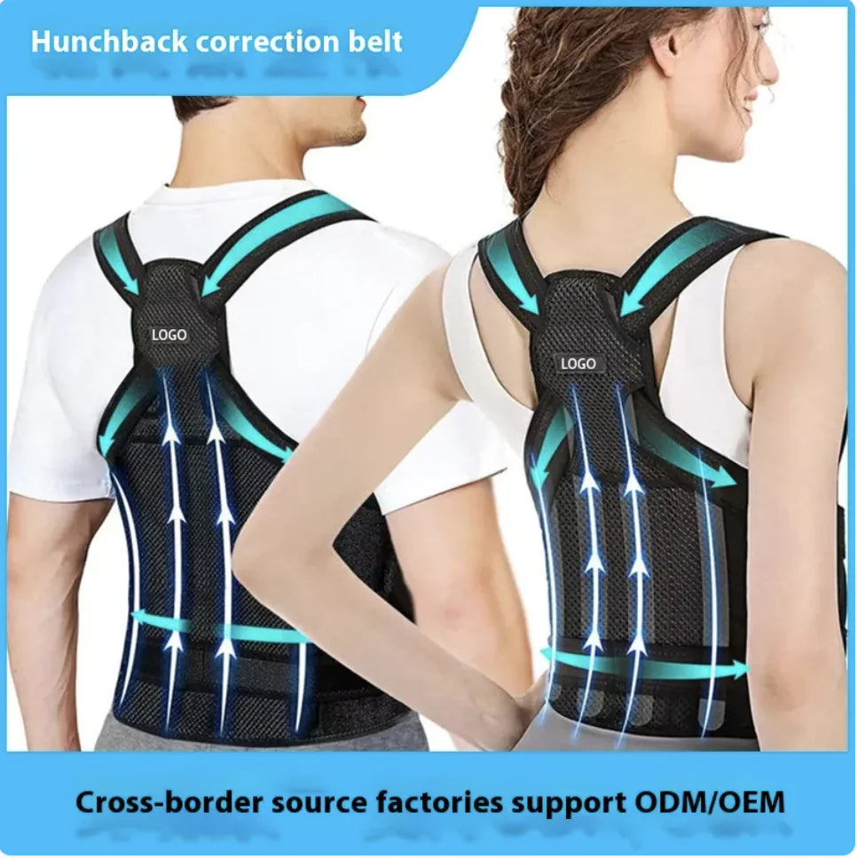 ErgoFlex Back Alignment Belt