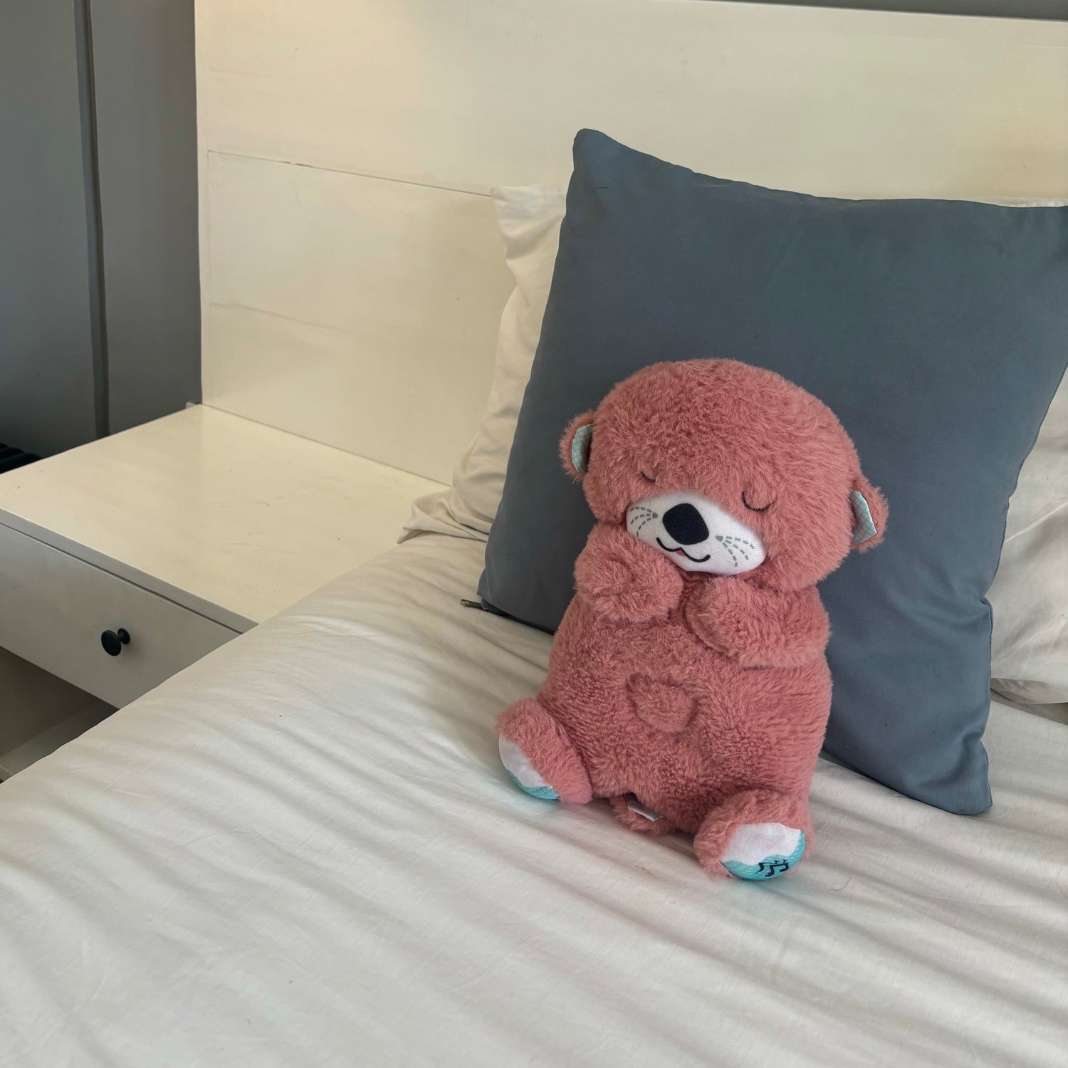 Sleep Soother Pal