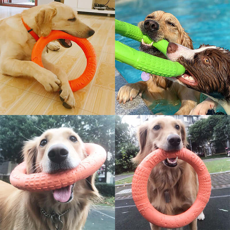 EVA Canine Play Ring