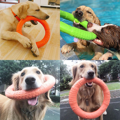 EVA Canine Play Ring