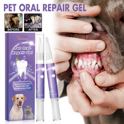 Pet Dental Repair Gel