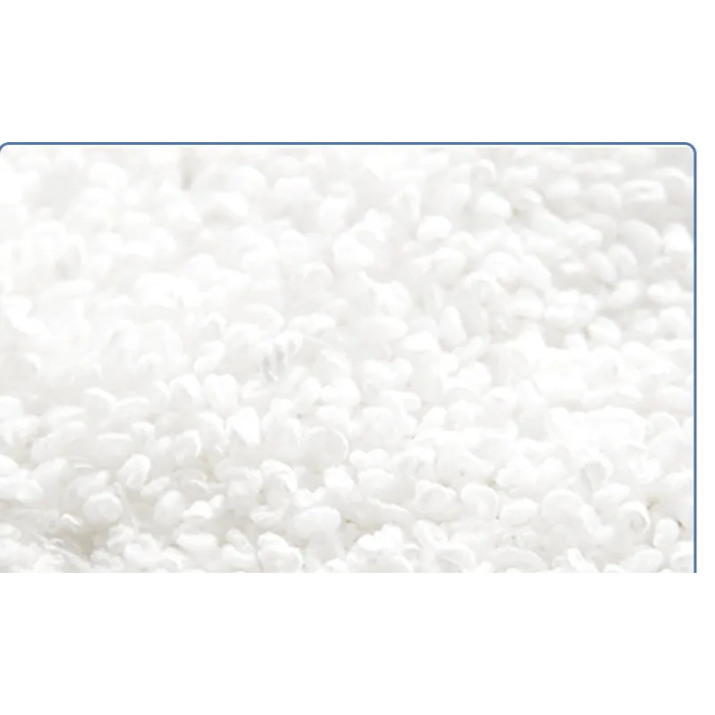 Steam Mop Pro Sanitizer