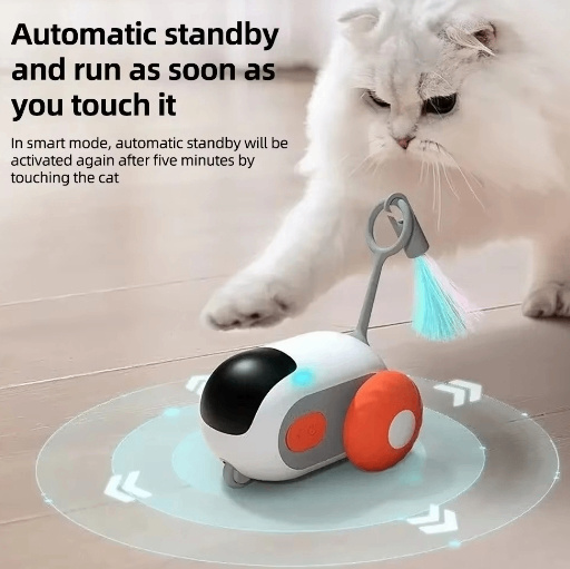 PlayPal Cat Chase Car