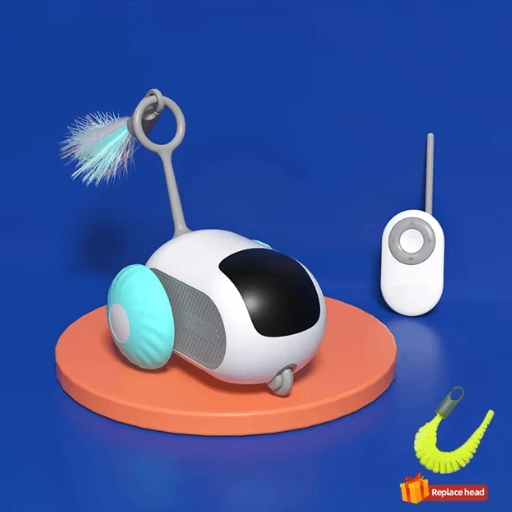 PlayPal Cat Chase Car