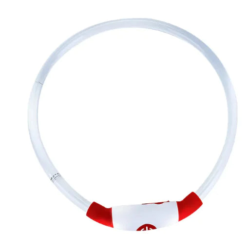 Glowing USB Dog Collar
