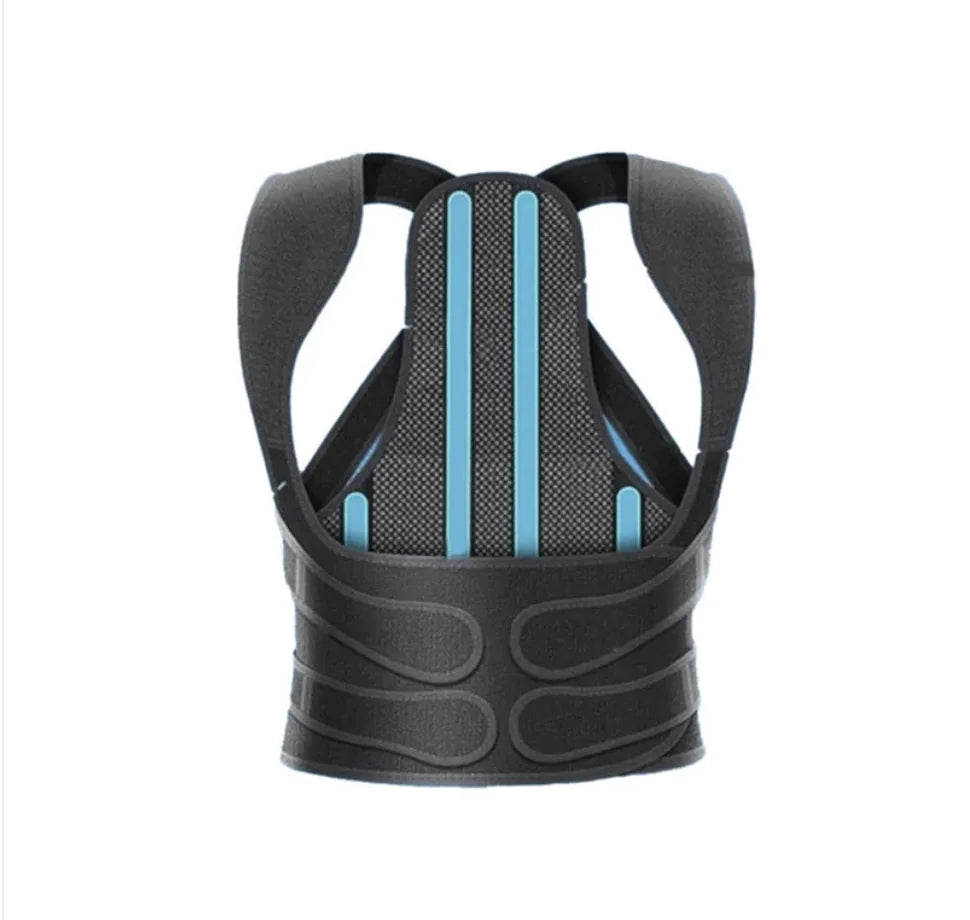 ErgoFlex Back Alignment Belt