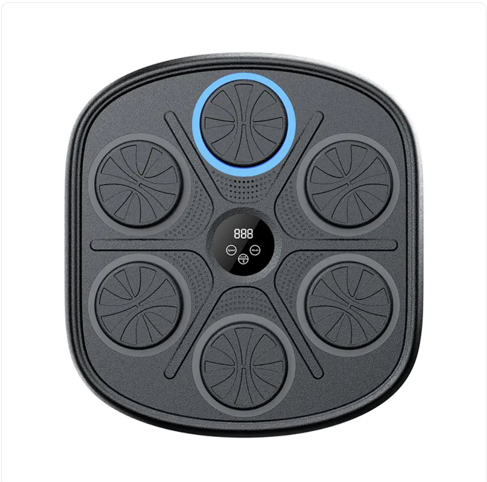 Rhythm Boxing Wall Pro