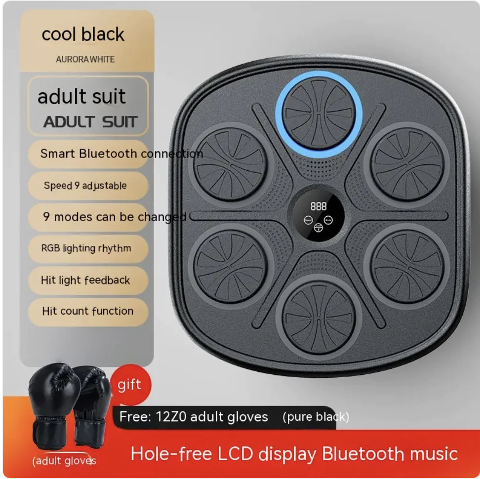 Rhythm Boxing Wall Pro