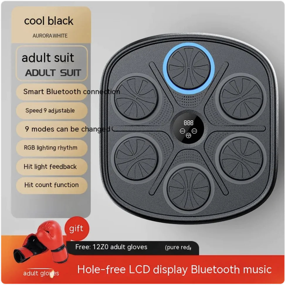 Rhythm Boxing Wall Pro