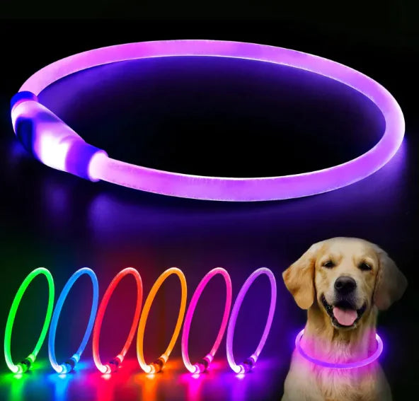 Glowing USB Dog Collar