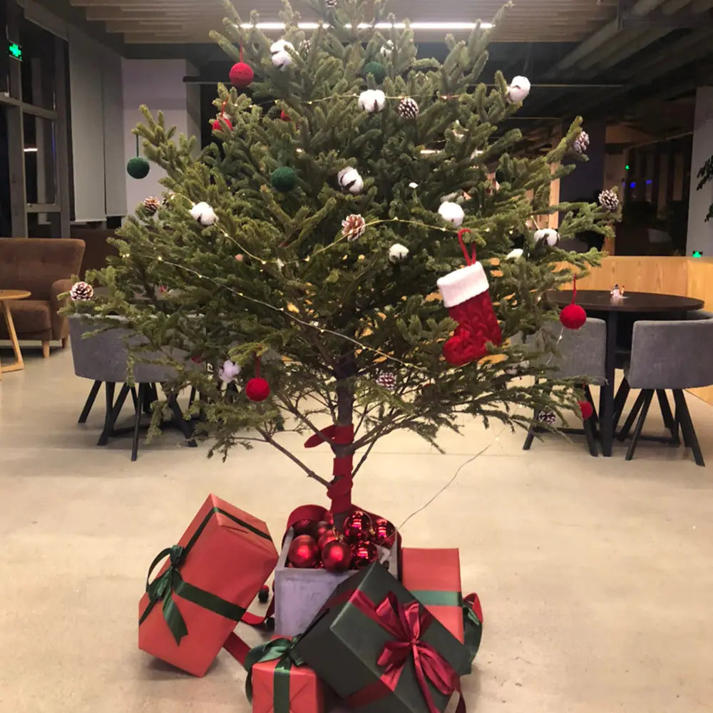 Holiday Charm Knit Socks