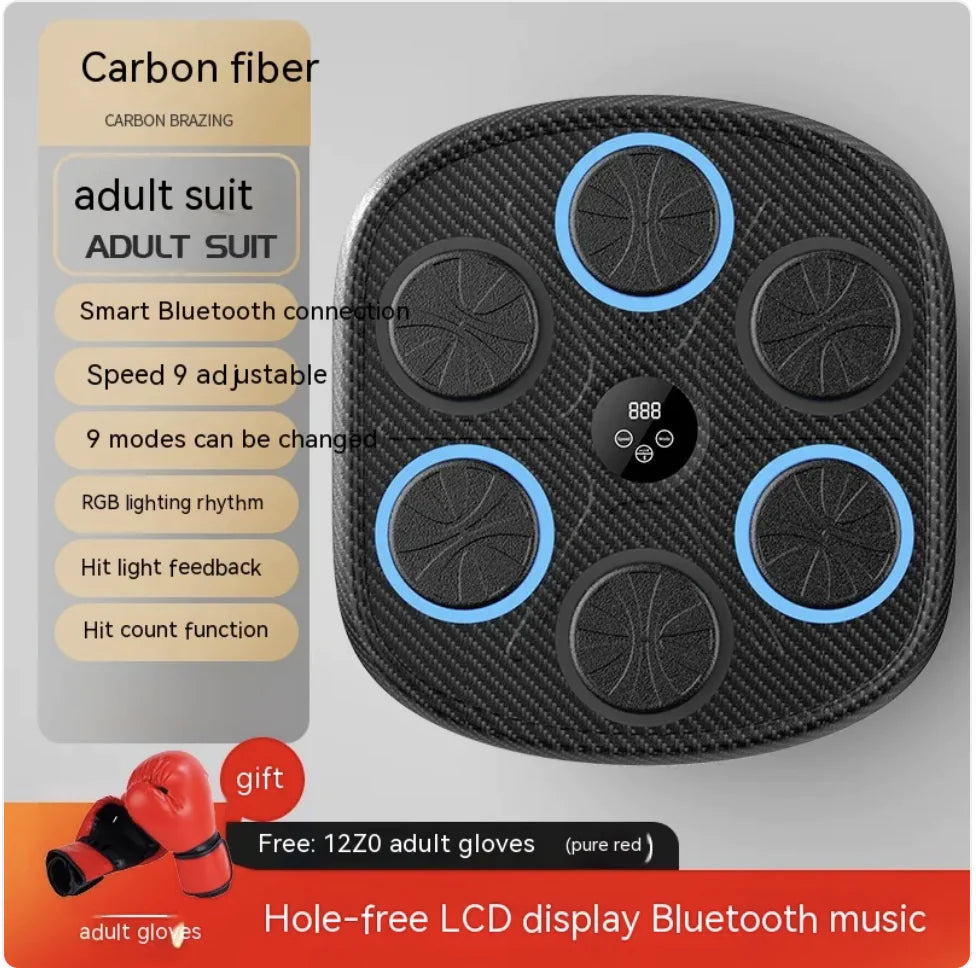 Rhythm Boxing Wall Pro