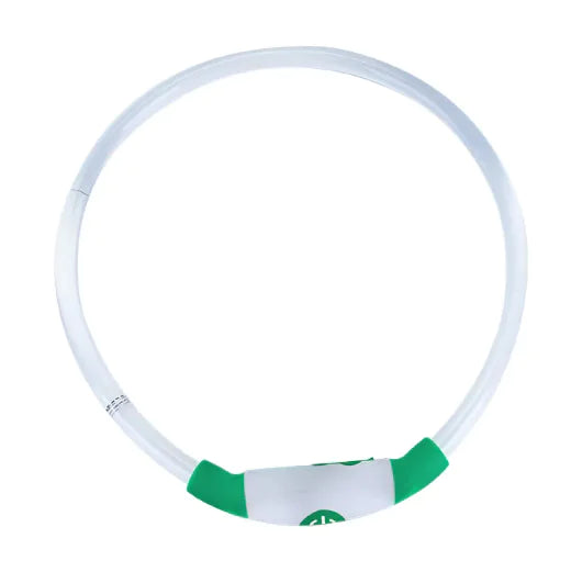 Glowing USB Dog Collar