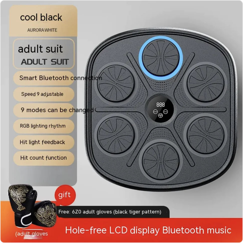 Rhythm Boxing Wall Pro