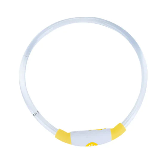 Glowing USB Dog Collar