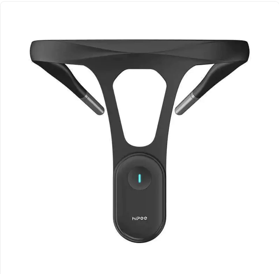 Stealth Posture Alignment Assistant