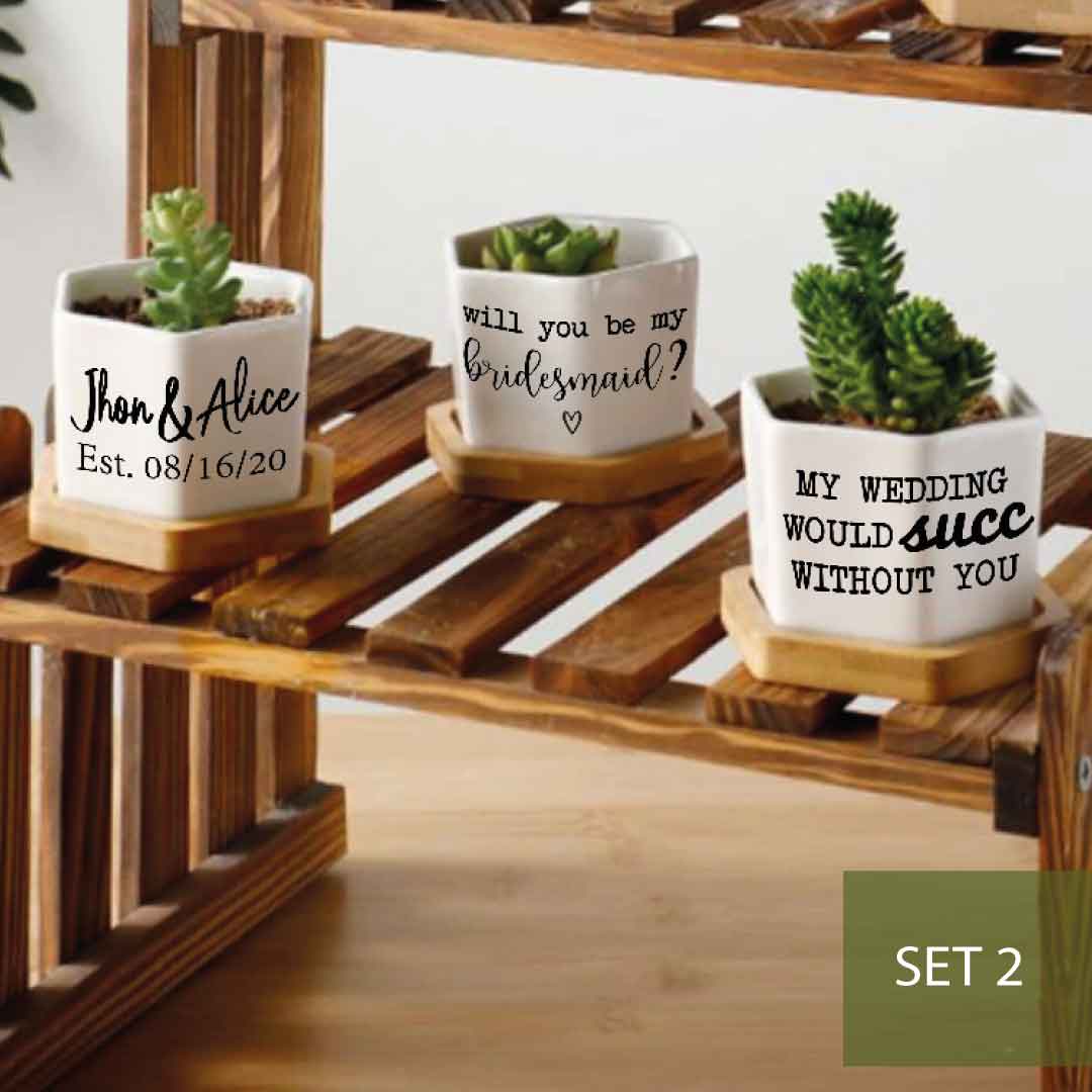 Succulent Trio with Messages - 4" Planters