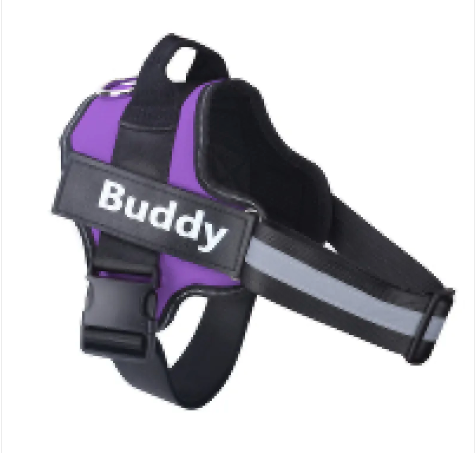 ComfortSecure Reflective Dog Harness ChicCharm