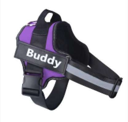 ComfortSecure Reflective Dog Harness ChicCharm