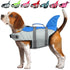 Shark Fin Dog Swim Vest - Quick Dry ChicCharm