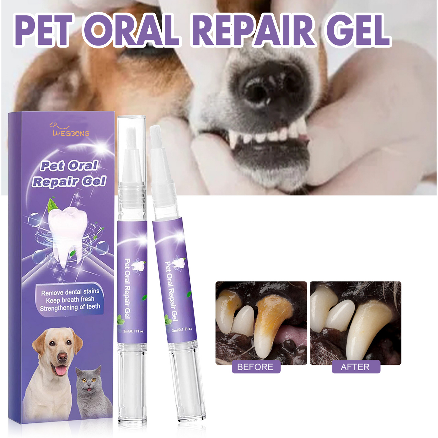 Pet Dental Repair Gel